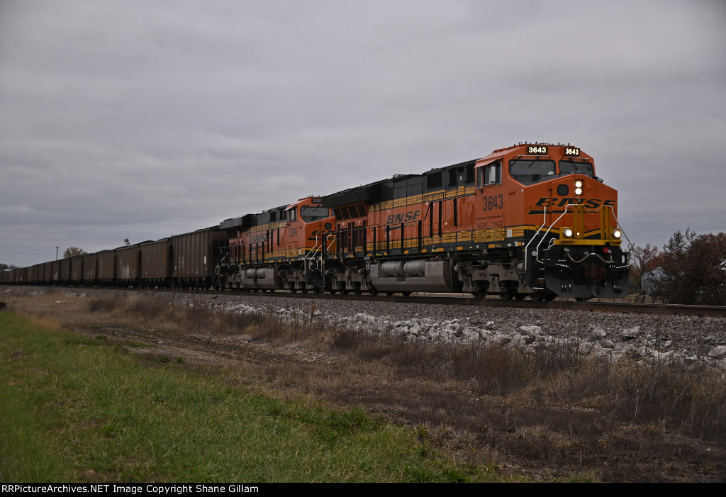 BNSF 3643